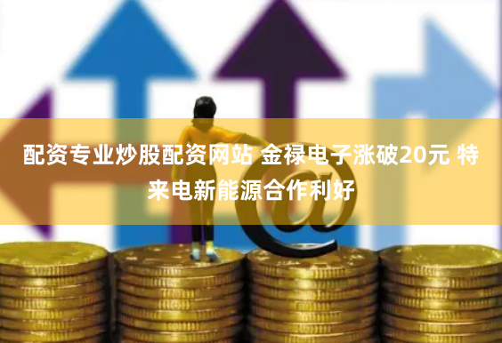 配资专业炒股配资网站 金禄电子涨破20元 特来电新能源合作利好