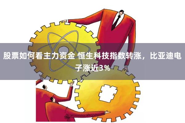 股票如何看主力资金 恒生科技指数转涨，比亚迪电子涨近3%