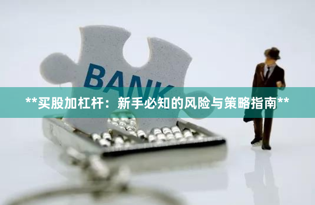 **买股加杠杆：新手必知的风险与策略指南**