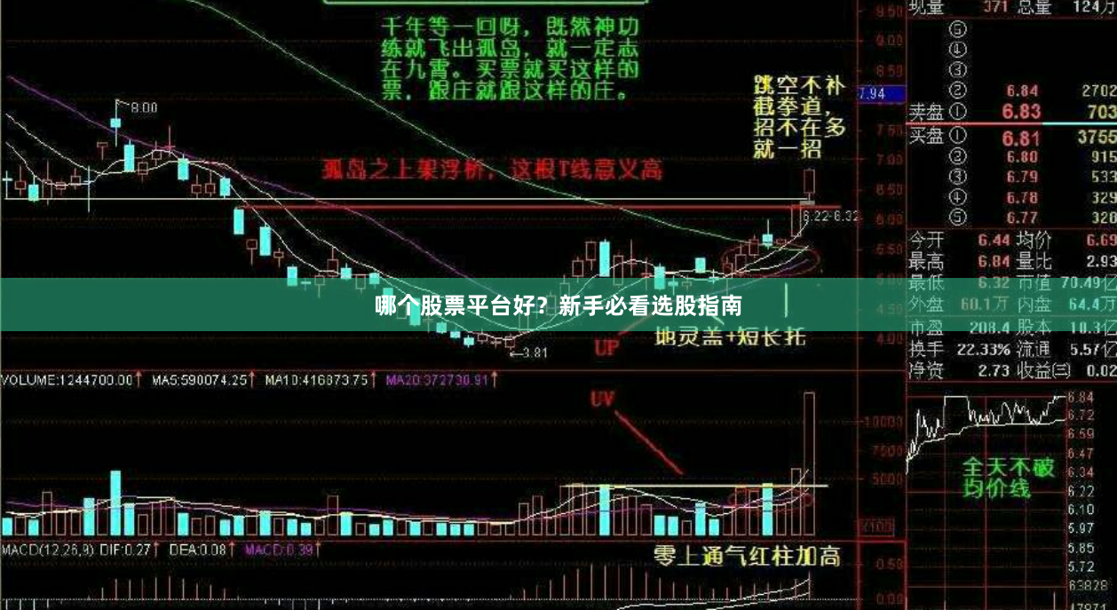 哪个股票平台好?新手必看选股指南